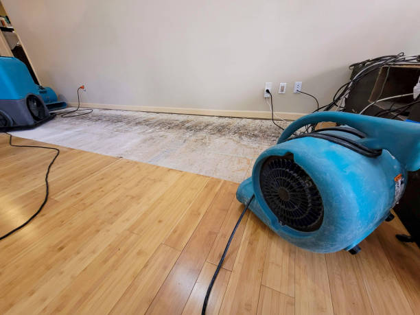 Professional Flood Damage Cleanup technician working in Wilder, ID